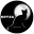 KOT